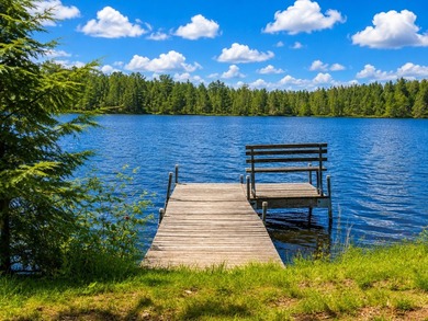Newer construction, stunning lake views, and the peaceful - photo 19