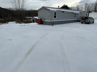 On owned land 3 bedroom two bath mobile home on a concrete pad - photo 1