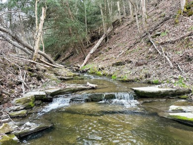 (private lake, pond, creek) Acreage For Sale in Addison New York