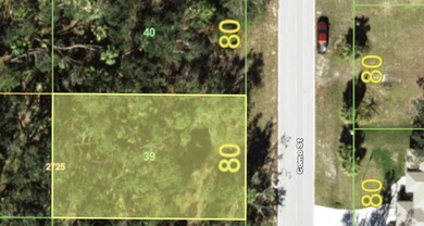 Port Charlotte Waterway Area Lot For Sale in Port Charlotte Florida