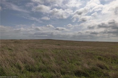 Experience the beauty and functionality of this 39.93-acre - photo 11