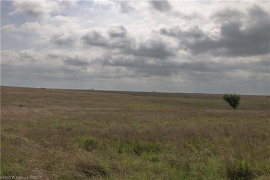 Experience the beauty and functionality of this 39.93-acre - photo 12
