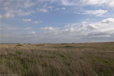 Experience the beauty and functionality of this 39.93-acre - photo 13