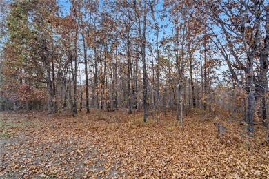 Development potential on 40 acres in a Bentonville address, with - photo 15