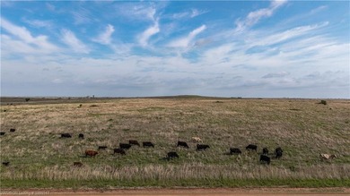 Experience the beauty and functionality of this 39.93-acre - photo 27