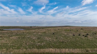 Experience the beauty and functionality of this 39.93-acre - photo 29