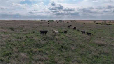 Experience the beauty and functionality of this 39.93-acre - photo 49