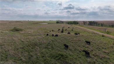 Experience the beauty and functionality of this 39.93-acre - photo 50