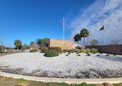 Blue Homestead Lake  Lot For Sale in Chipley Florida