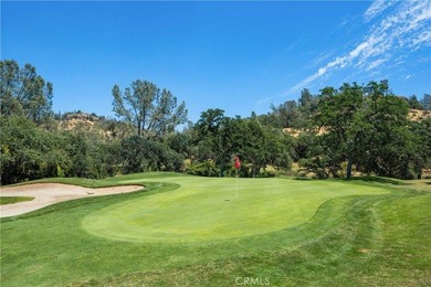 Create your custom dream home on this exceptional vacant lot in - photo 6