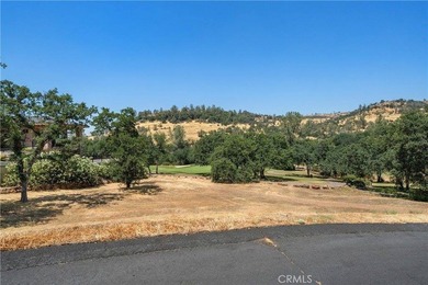 Create your custom dream home on this exceptional vacant lot in - photo 9