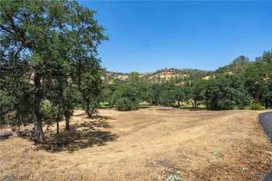 Create your custom dream home on this exceptional vacant lot in - photo 10
