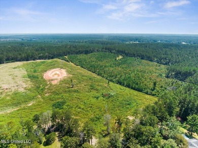 116 acres of land for sale in North Pike School District - photo 11