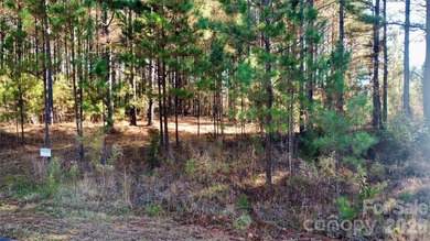 This level 2.15 acre property provides the flexibility to build - photo 2