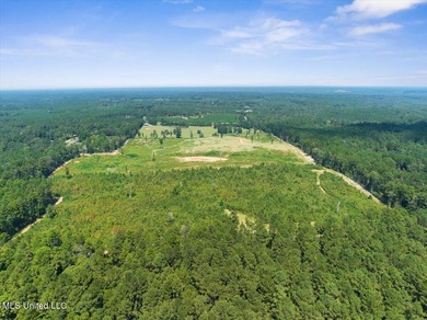 116 acres of land for sale in North Pike School District - photo 12