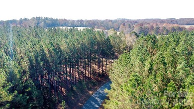 This level 2.15 acre property provides the flexibility to build - photo 3