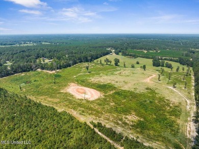 116 acres of land for sale in North Pike School District - photo 13