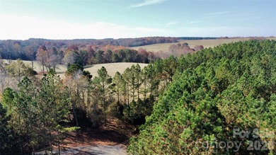 This level 2.15 acre property provides the flexibility to build - photo 4