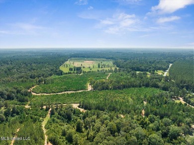 116 acres of land for sale in North Pike School District - photo 15