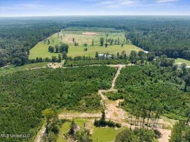 116 acres of land for sale in North Pike School District - photo 16