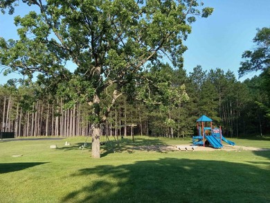 Lake Arrowhead Perpetual Camping or Homebuilding spot! Nestled - photo 23