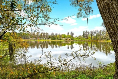 (private lake, pond, coastal) Acreage For Sale in Odessa Florida