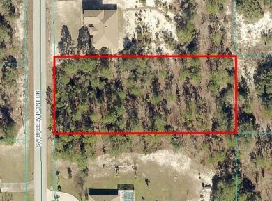 Bonable Lake Lot For Sale in Dunnellon Florida