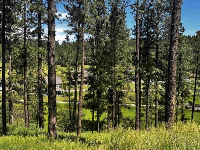(private lake, pond, creek) Lot For Sale in Hill City South Dakota