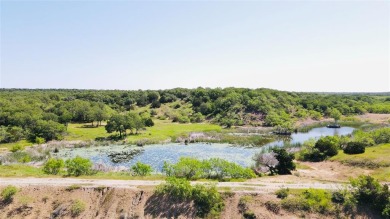 Lake Acreage For Sale in Ranger, Texas