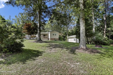 Situated on approximately half an acre in desirable Hampstead - photo 3
