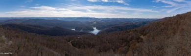 Lake Lot For Sale in New Tazewell, Tennessee