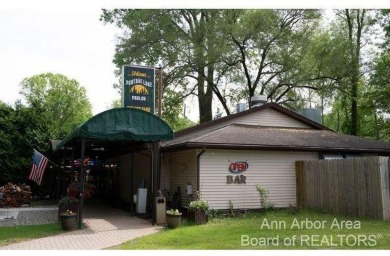 Big Portage Lake Commercial For Sale in Grass Lake Michigan