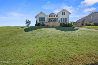 Lake Home For Sale in Blountville, Tennessee