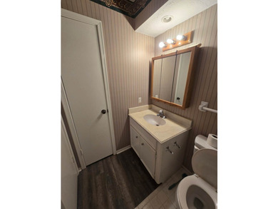 Beautiful, newly renovated 3 bed, 3 bath home with private - photo 2