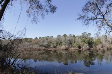 Lake Home For Sale in Tallahassee, Florida