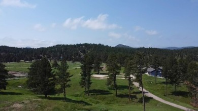 (private lake, pond, creek) Lot For Sale in Hill City South Dakota