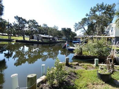 Gulf access with no bridges, Crystal River property a standout - photo 3