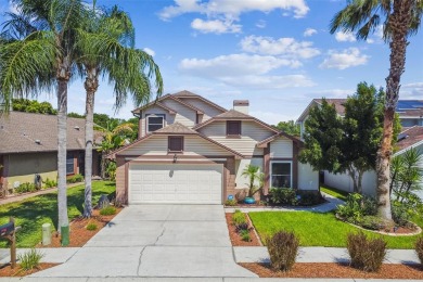 Spring Lake - Pinellas County Home Sale Pending in Clearwater Florida