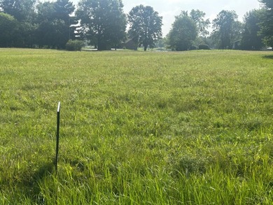 Build your dream home or weekend retreat on this buildable lot - photo 1