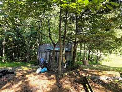 This is a rare opportunity to purchase 27 acres of unrestricted - photo 12