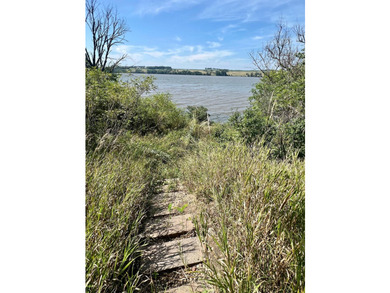 This is a gorgeous 1.38 acre lot on Big Stone Lake. Secluded - photo 13