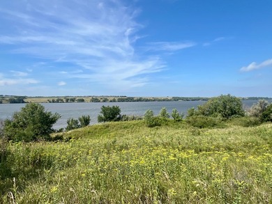 This is a gorgeous 1.38 acre lot on Big Stone Lake. Secluded - photo 14