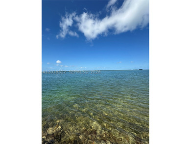 Welcome to your slice of paradise! Down in Big Torch Key, you'll - photo 21