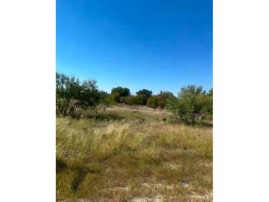 Lake Brownwood Lot For Sale in Brownwood Texas