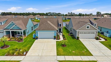 Stunning Pond-View Home in Del Webb Welcome to this beautiful - photo 49