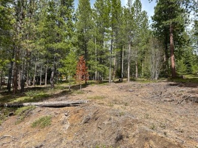 Crescent Lake - Klamath County Lot For Sale in Crescent Lake Oregon