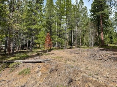 Crescent Lake - Klamath County Lot For Sale in Crescent Lake Oregon