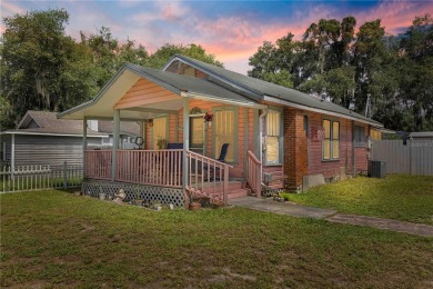 Lake Home For Sale in Leesburg, Florida