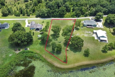 Lake Lot Sale Pending in Eustis, Florida