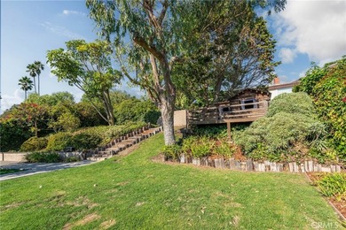 30216 Matisse - photo 41